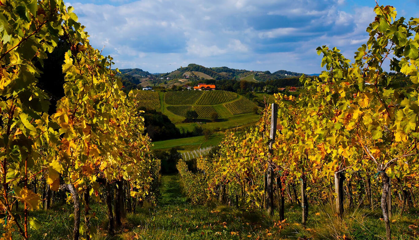 Wine Fountain Vodole – wine road Vodole